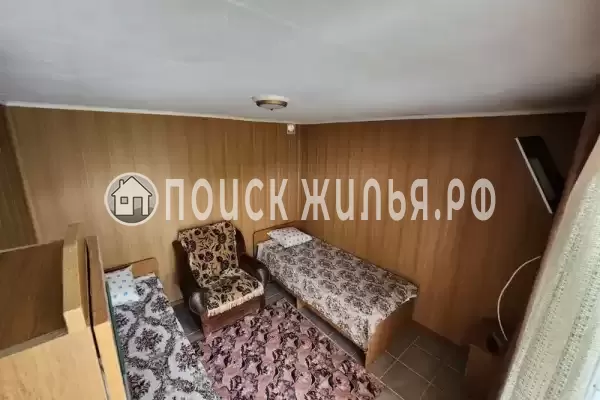 «Виноградная лоза» «Виноградная лоза»