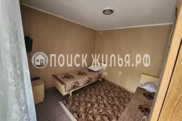 «Виноградная лоза» «Виноградная лоза»