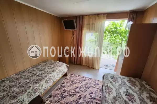 «Виноградная лоза» «Виноградная лоза»