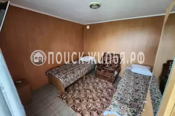 «Виноградная лоза» «Виноградная лоза»