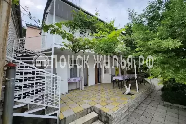 «Виноградная лоза» «Виноградная лоза»