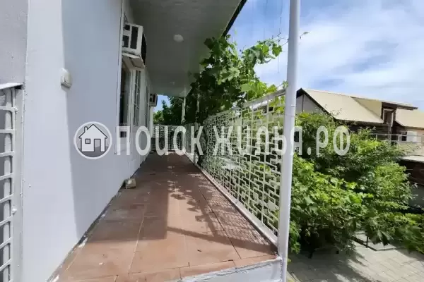 «Виноградная лоза» «Виноградная лоза»