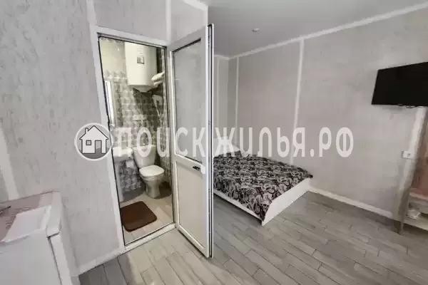 «Виноградная лоза» «Виноградная лоза»