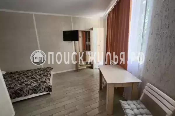 «Виноградная лоза» «Виноградная лоза»