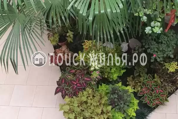 «У Ирины на Калараш» «У Ирины на Калараш»