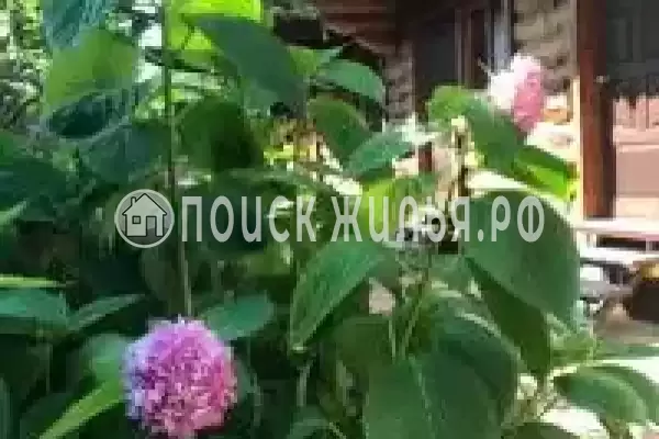 «Светлана»