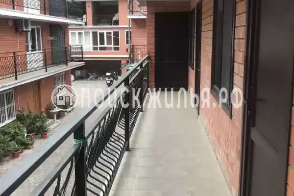 «Василек» «Василек»