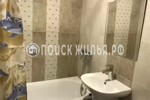 «Василек» «Василек»