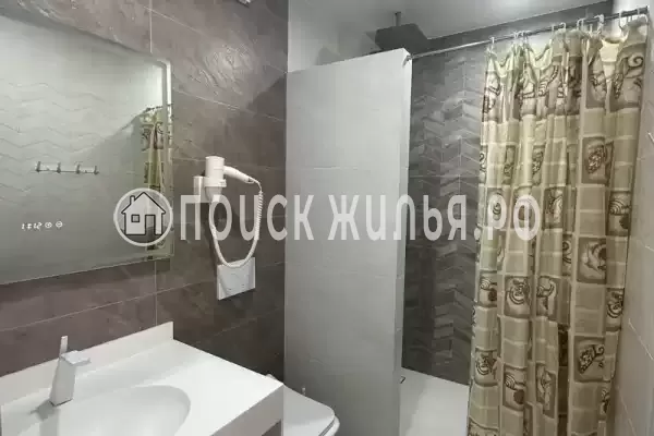 «Василек» «Василек»