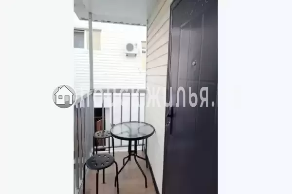 «Полинка» «Полинка»