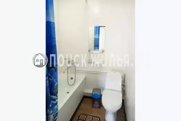 «Полинка» «Полинка»