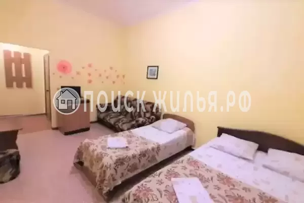 «Полинка» «Полинка»