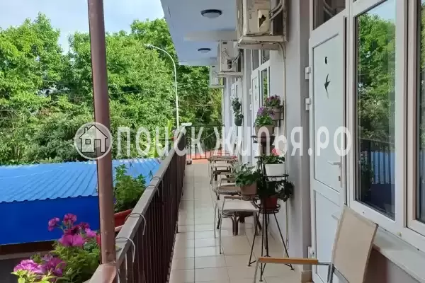 «Ласточка» «Ласточка»