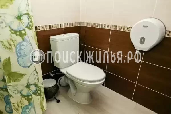 «Колибри» «Колибри»