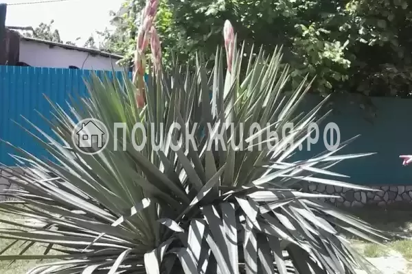 Квартира «Студия в частном доме»