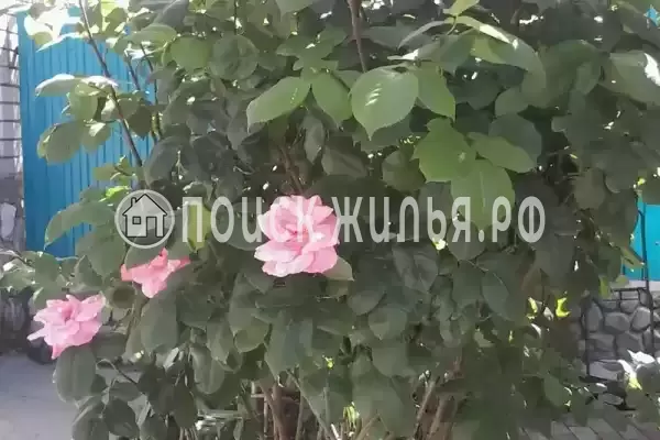 Квартира «Студия в частном доме»