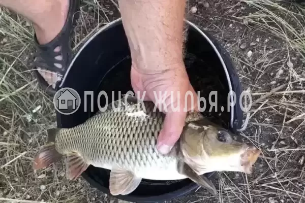 Частный сектор «Азовские жемчужины» Частный сектор «Азовские жемчужины»