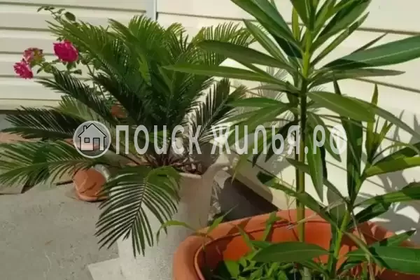 Дом под ключ «Ассоль»