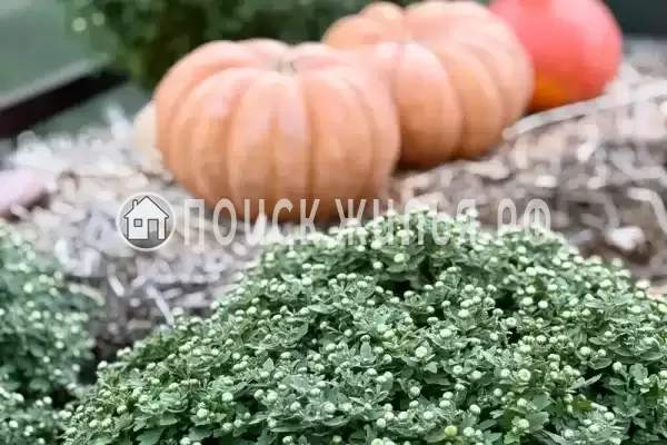 Дом под ключ «Со своим двором»