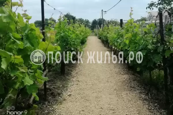 Частный сектор «Bungalo dali» Частный сектор «Bungalo dali»