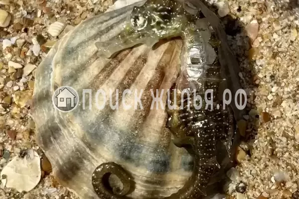 Частный сектор «Bungalo dali» Частный сектор «Bungalo dali»