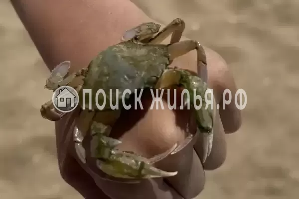 Частный сектор «Bungalo dali» Частный сектор «Bungalo dali»