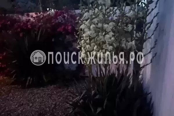 Частный сектор «Bungalo dali» Частный сектор «Bungalo dali»