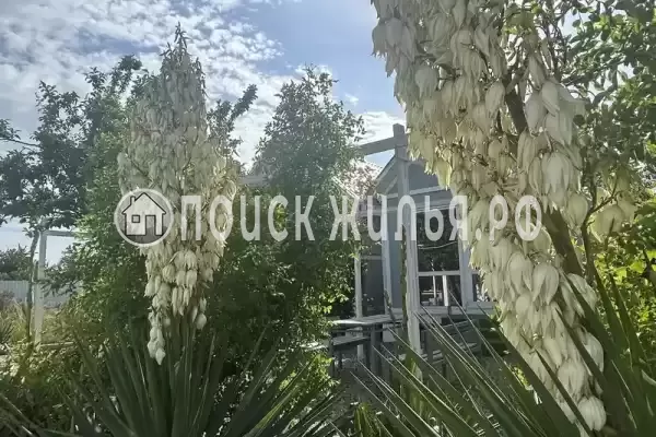 Частный сектор «Bungalo dali» Частный сектор «Bungalo dali»