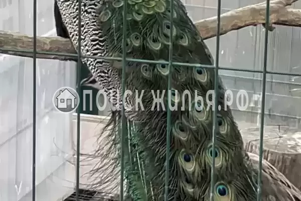 Дом под ключ «Пляжный дом» Дом под ключ «Пляжный дом»