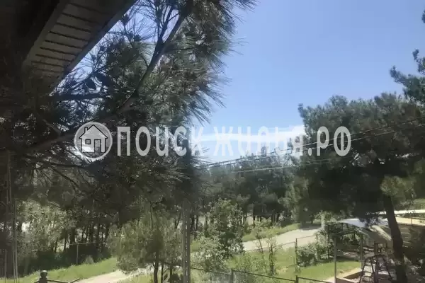 Дом под ключ «В сосновом бору»