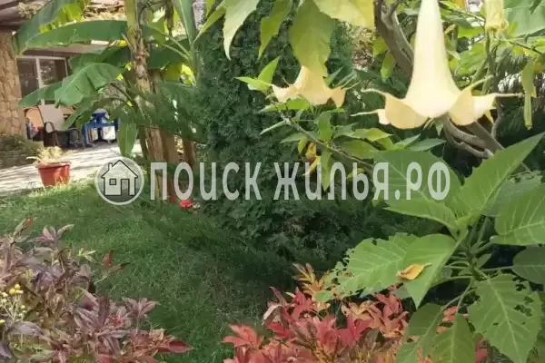 Дом под ключ «Фортуна» Дом под ключ «Фортуна»