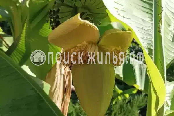 Дом под ключ «Фортуна» Дом под ключ «Фортуна»