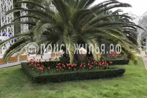 Апартаменты «Фисташка»