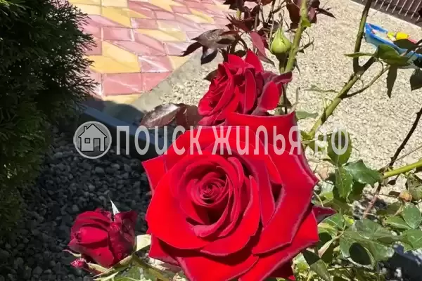 Дом под ключ «На Новозападной 39»