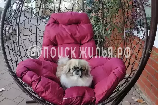 Частный сектор «Комната у моря на Садовой» Частный сектор «Комната у моря на Садовой»