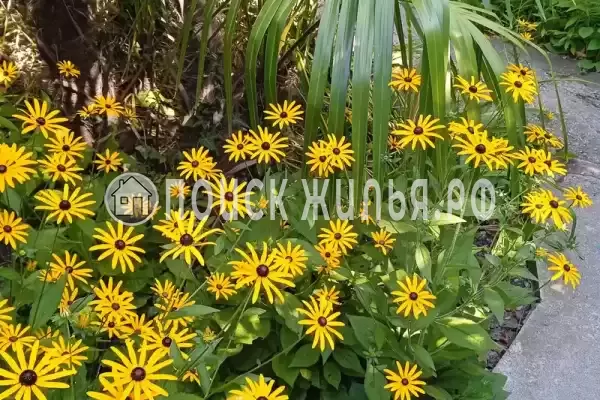 Дом под ключ «Домик под ключ»