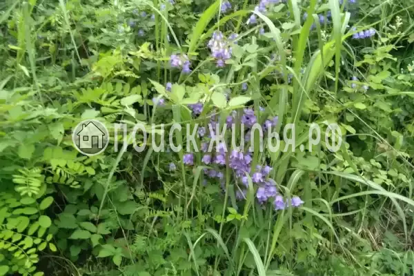 Дом под ключ «Лесной»