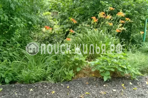 Дом под ключ «Лесной»