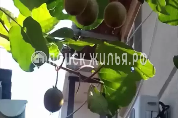 Квартира «На Демократической» Квартира «На Демократической»