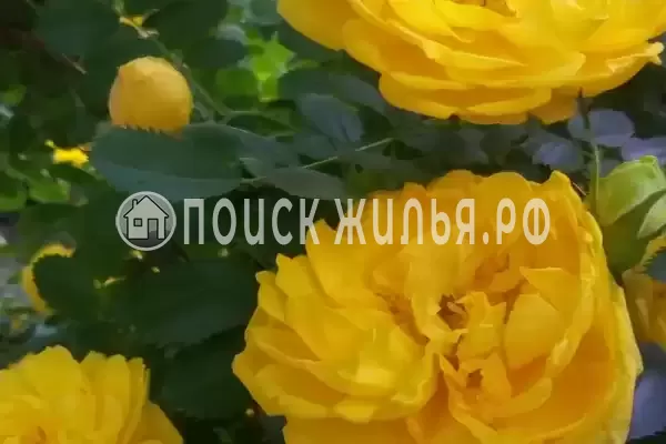 Дом под ключ «На Павлова» Дом под ключ «На Павлова»