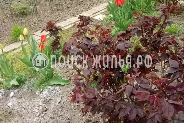 Дом под ключ «На Павлова» Дом под ключ «На Павлова»