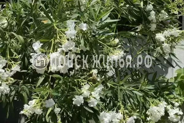 Частный сектор «Комната в частном доме у моря»