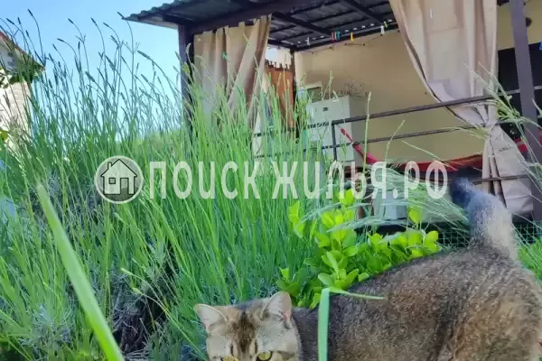 Частный сектор «Дом у моря в окружении гор»