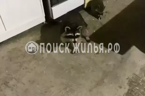 Дом под ключ «Моя Марусичка»