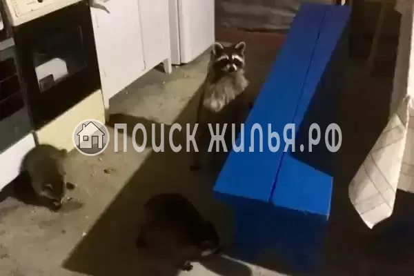 Дом под ключ «Моя Марусичка»