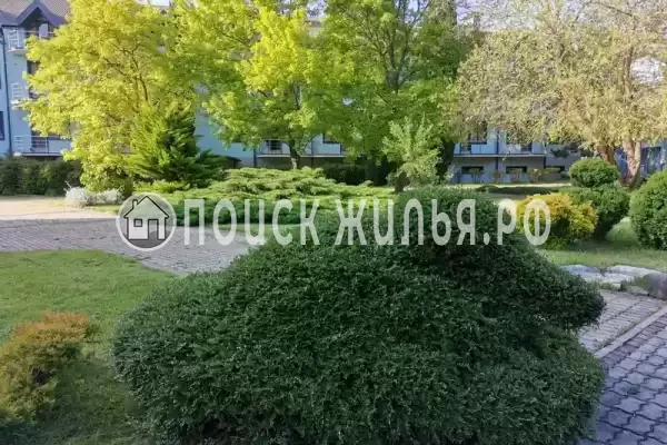 Апартаменты «Агой»