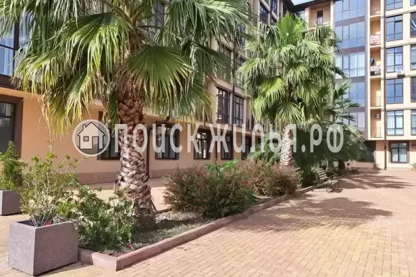 Апартаменты «В Сириусе» Апартаменты «В Сириусе»