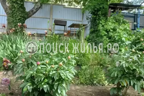 Дом под ключ «У тополя»