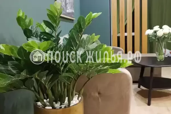 Частный сектор «Таунхаус в Головинке» Частный сектор «Таунхаус в Головинке»