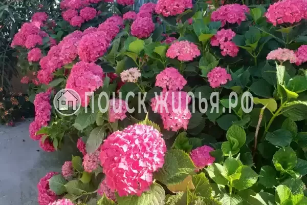 Частный сектор «Таунхаус в Головинке» Частный сектор «Таунхаус в Головинке»